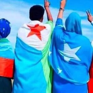 Meet your Posher, Saida